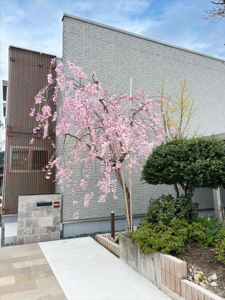 株式会社東北メディサ